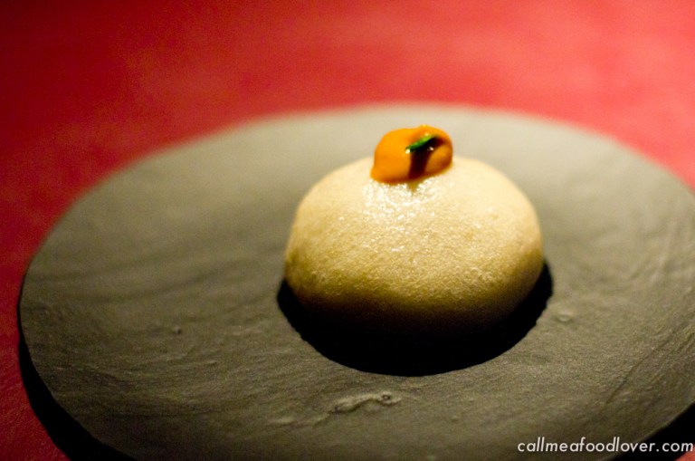 "41 degrees adria bao"