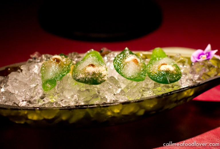 "41 degrees adria cactus"