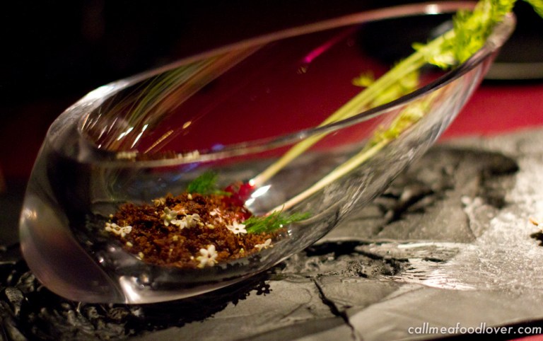 "41 degrees adria carrot"