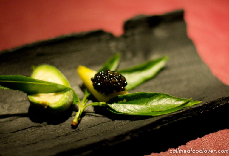 "41 degrees adria caviar endive"