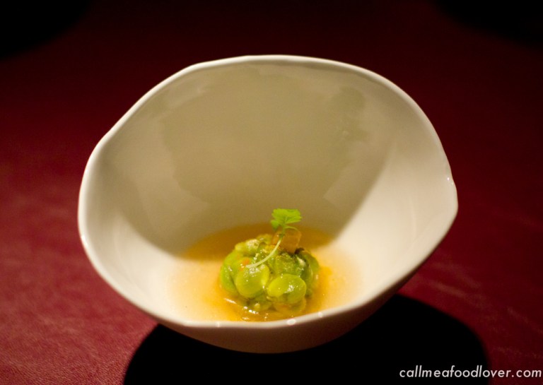 "41 degrees adria fava"