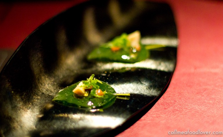 "41 degrees adria leaf"