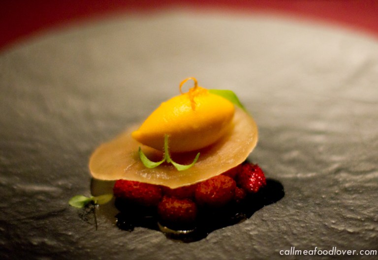 "41 degrees adria mango"