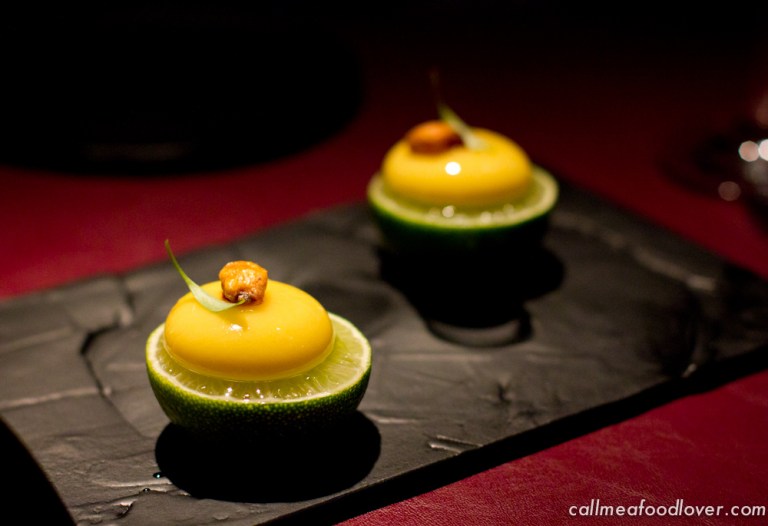 "41 degrees adria mexico"