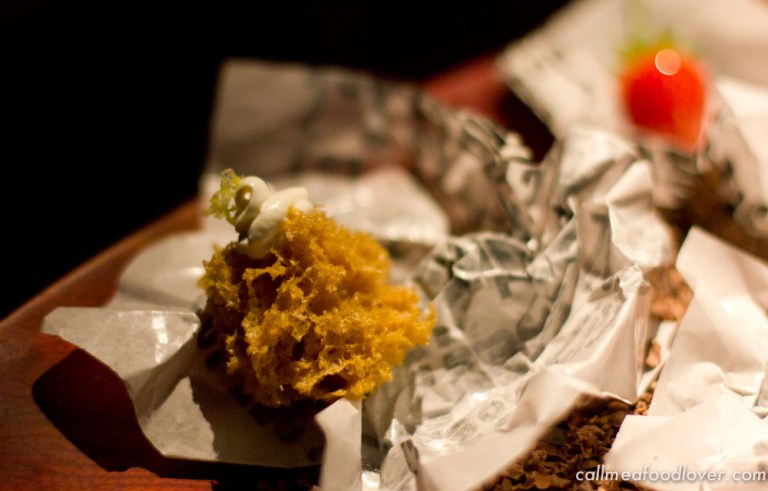 "41 degrees adria microwave"