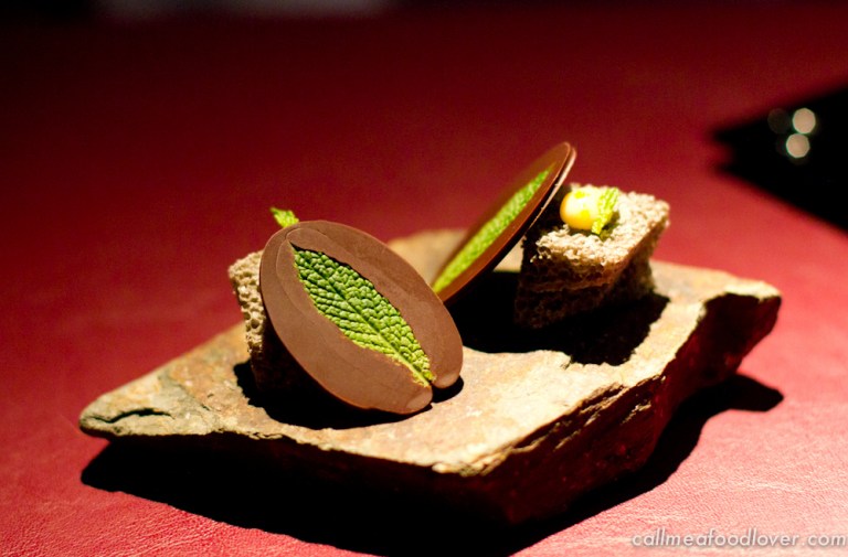 "41 degrees adria mint"