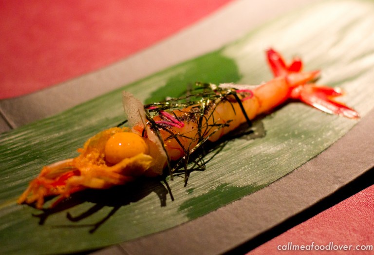 "41 degrees adria miso"