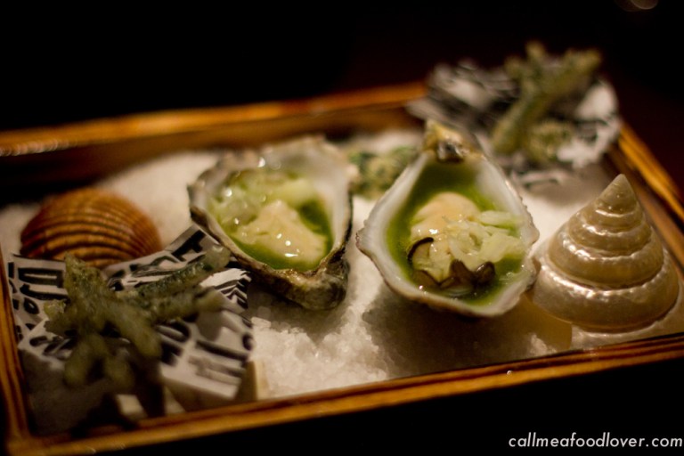 "41 degrees adria oyster"