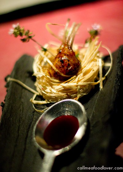 "41 degrees adria rabbit"