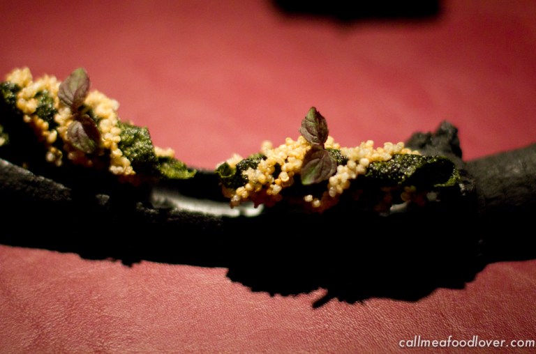 "41 degrees adria seaweed"