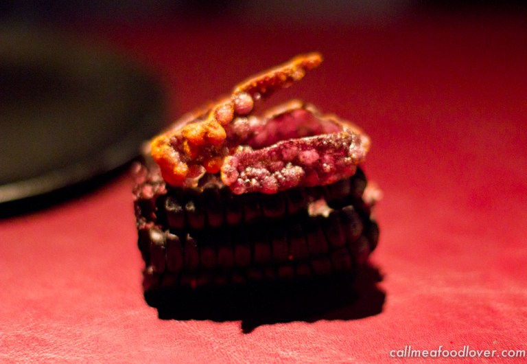 "41 degrees adria tentacles"