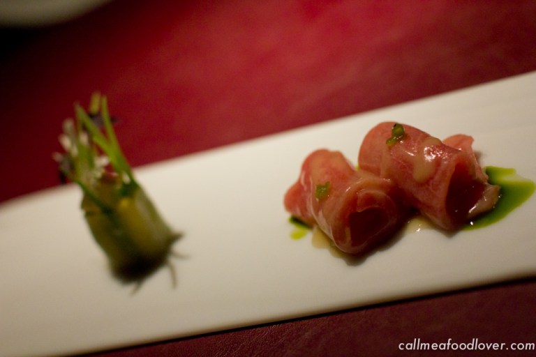 "41 degrees adria toro"