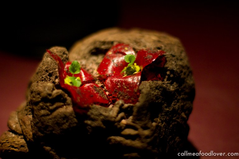 "41 degrees adria raspberry"