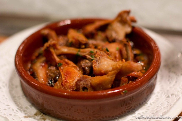 "paco merlago rabbit"