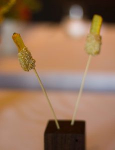 "Blue Hill Stone Barn Parsnip"