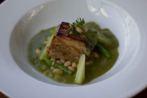 "Casa Oaxaca Alejandro Ruiz Mole"