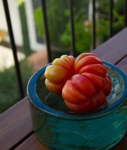 "Casa Oaxaca Criollo tomato Alejandro Ruiz"