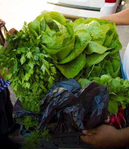 Casa "Oaxaca farm Alejandro Ruiz"