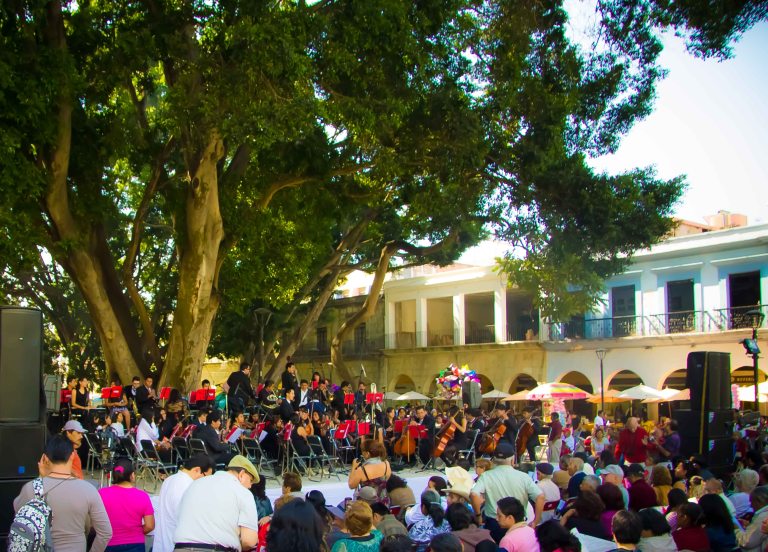 Jo has a saying that "if you don't hear music in Oaxaca, just wait 5 minutes and you will"!