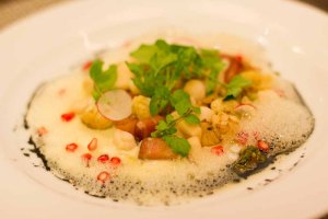 "Oaxaca Origen Rodolfo Castellanos scallops"