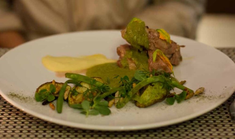 "Oaxaca Origen Rodolfo Castellanos turkey mole"