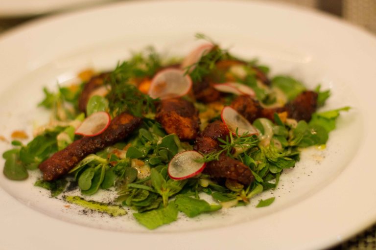 "Oaxaca Origen Rodolpho Castellanos pulpo"