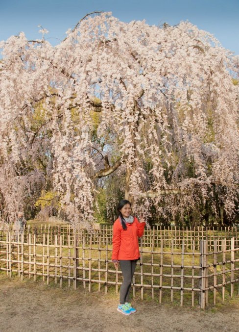 64724_10151325376521400_1156132985_n