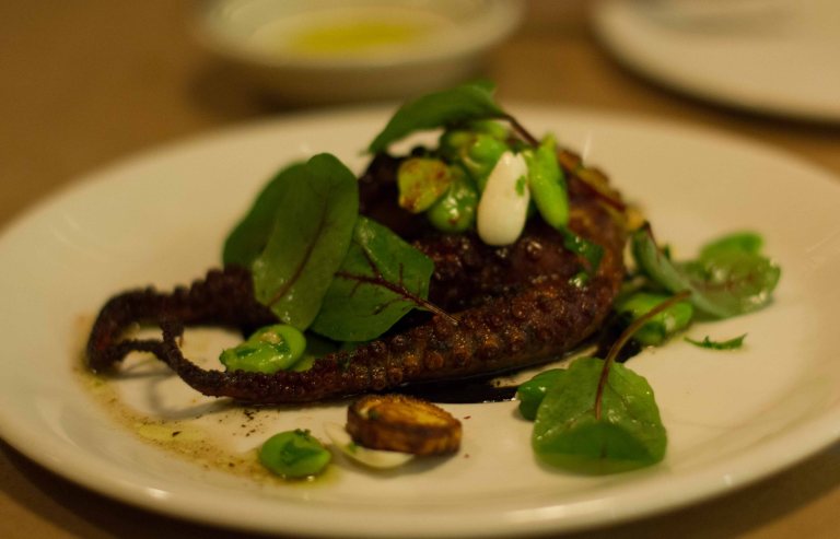 "Il Buco Alimentari octopus"