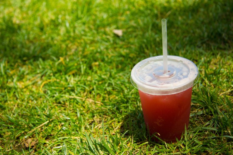 "Smorgasburg Brooklyn soda works cherry lime"