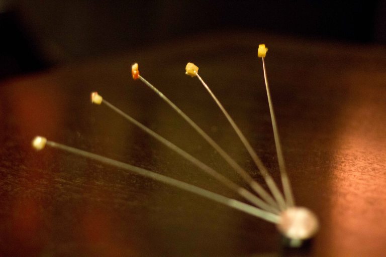 "Alinea Achatz ginger"