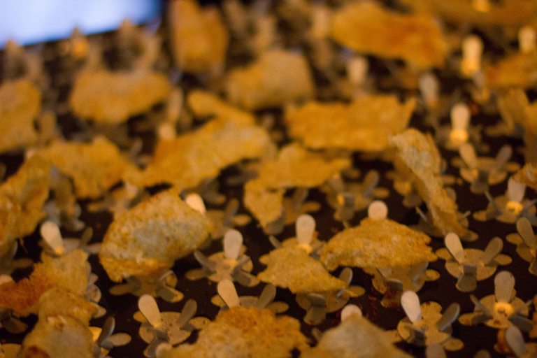 "Aviary Achatz chicharron"