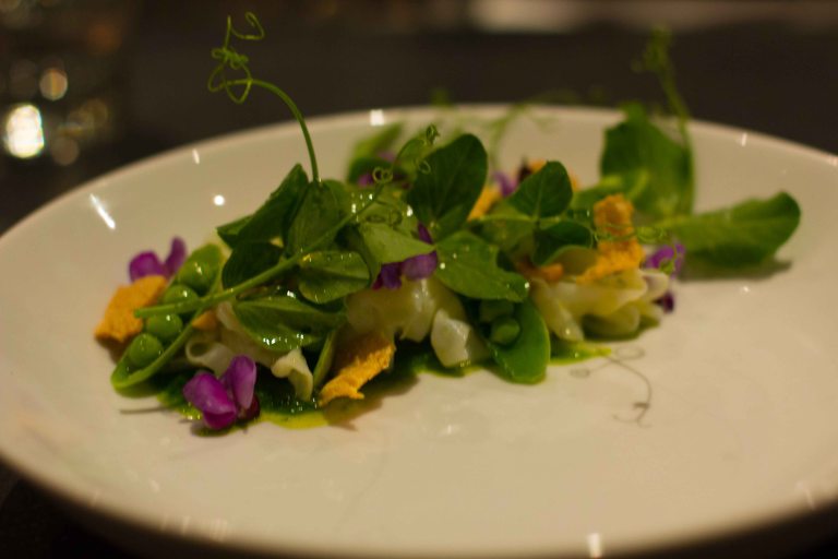 "Ink Voltaggio cuttlefish"