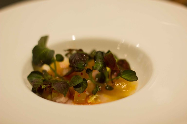 "Ink Voltaggio hamachi"