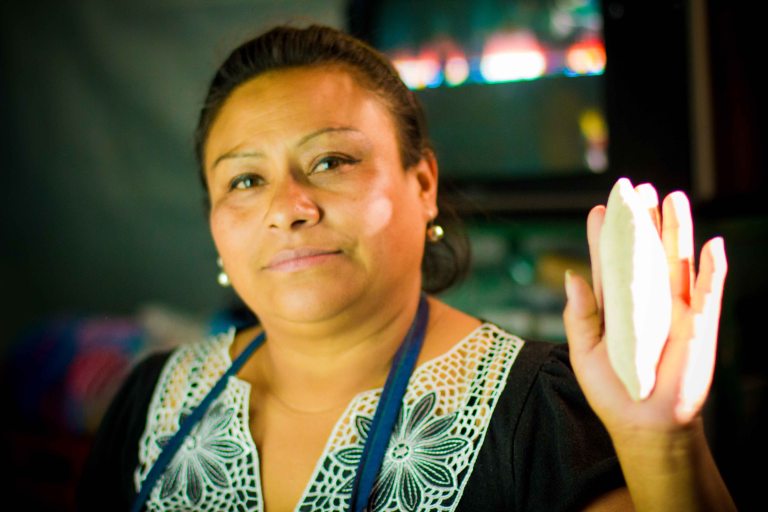 "Oaxaca Llano Park memelita"