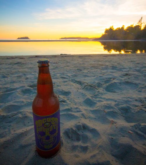 Tofino brewery sunset