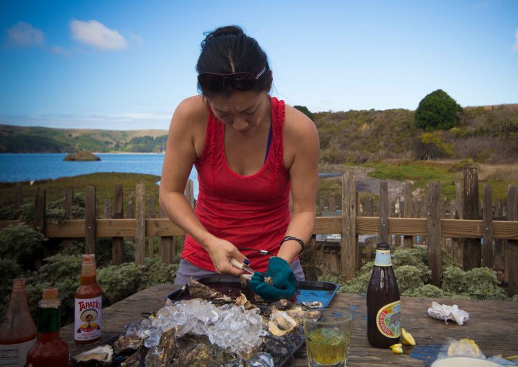 "Hog Island Oyster Marshall shucking"
