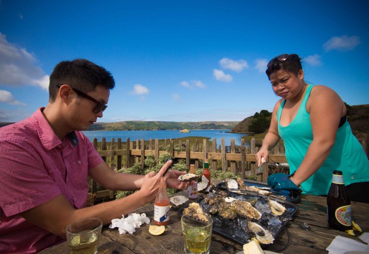 Hog Island shucking