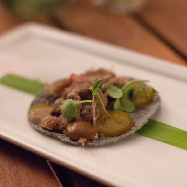 "El Saber del Sabor Casa Oaxaca taco jabali"