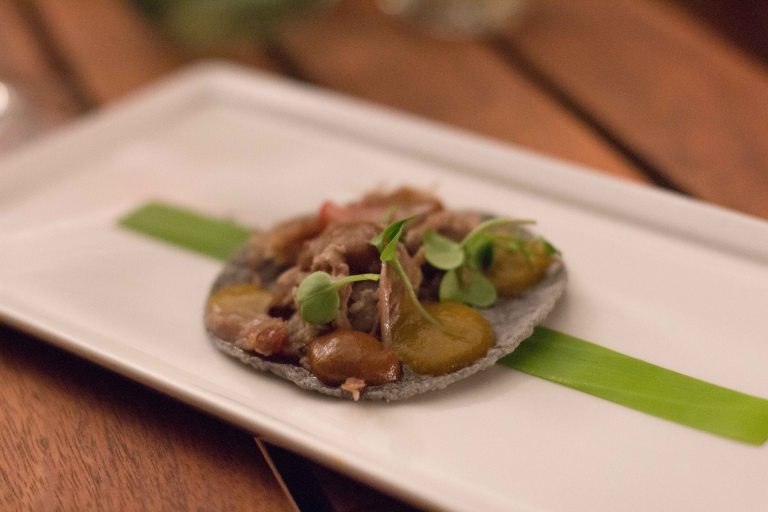 "El Saber del Sabor Casa Oaxaca taco jabali"