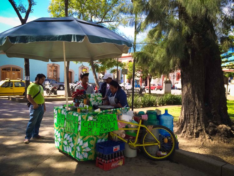 "Oaxaca Llano park taco consome"