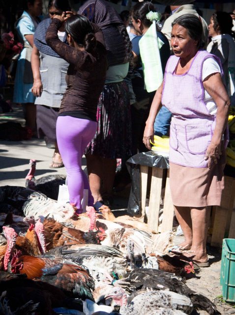Ocotlan mercado Friday turkey