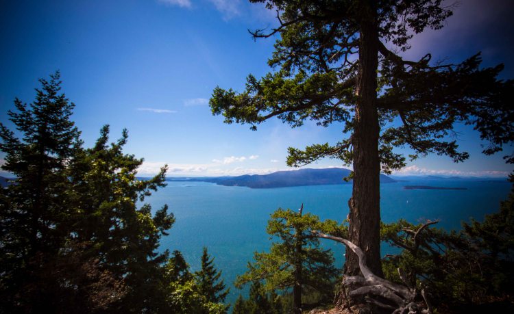 Lummi Island Baker preserve hike