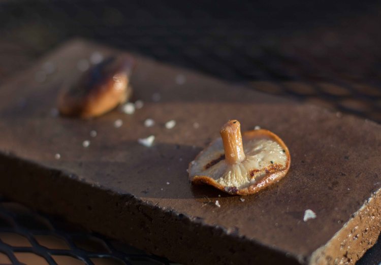 "Lummi Willows Inn shiitake mushroom"