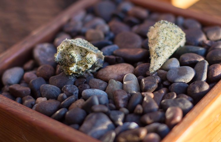 "Willows Inn Lummi Halibut skin"