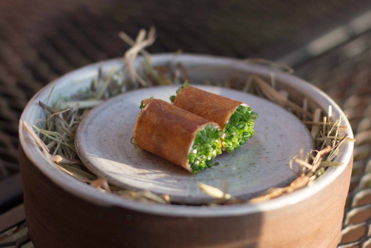 "WIllows Inn Wetzel roe crepe"