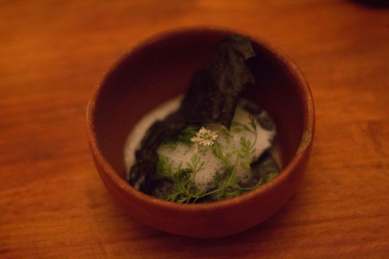 "El destilado Oaxaca pasta"