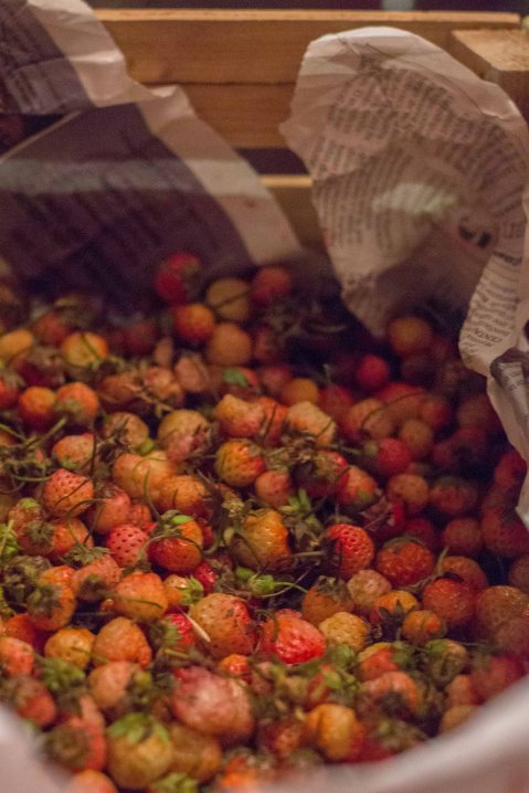 "El Destilado Oaxaca wild strawberries"