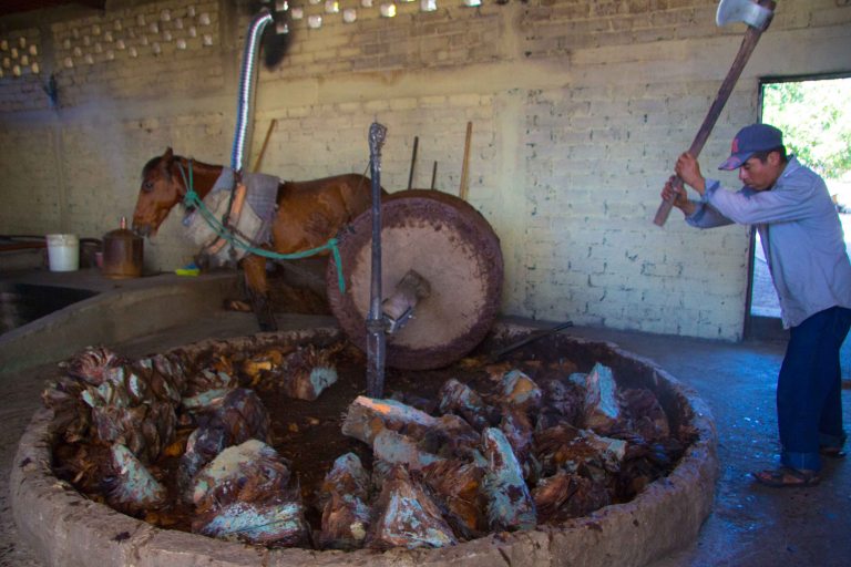 "Wahaka mezcal Oaxaca mill San Dionisio pinas"