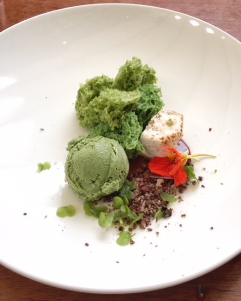 danzantes-oaxaca-hierba-santa-dessert