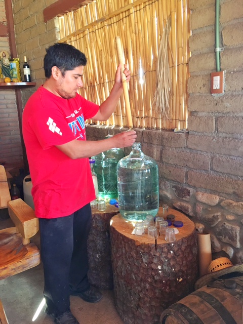 Matatlan mezcal Oaxaca 5a generacion